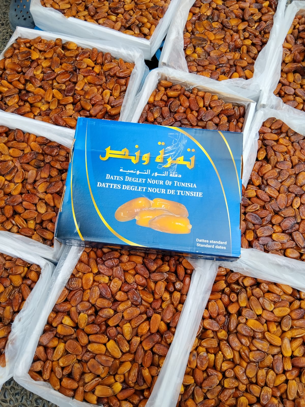 KURMA TUNIS MADU (5kg)