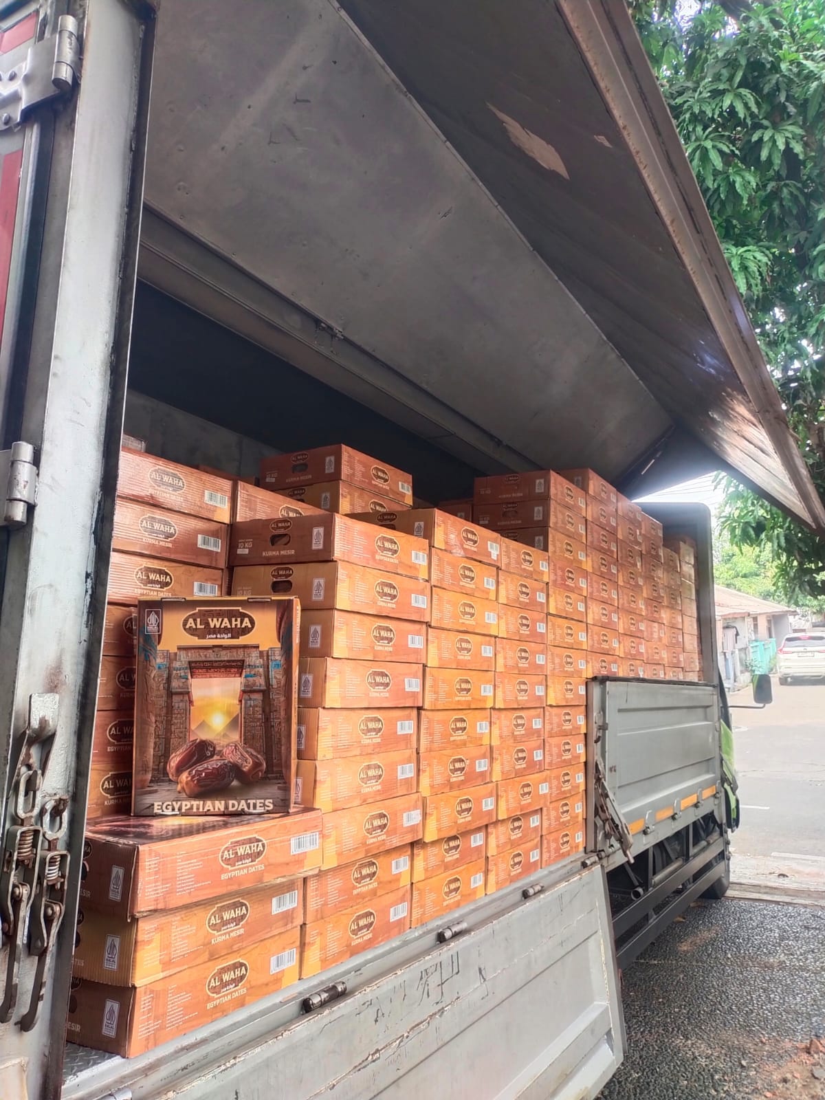 KURMA MESIR