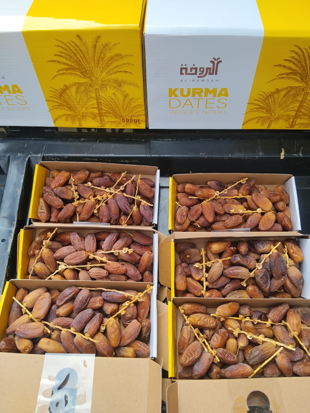 KURMA TUNIS TANGKAI (500gr)