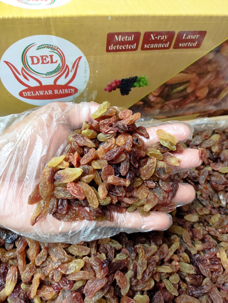 KISMIS ASAM MANIS (10kg)