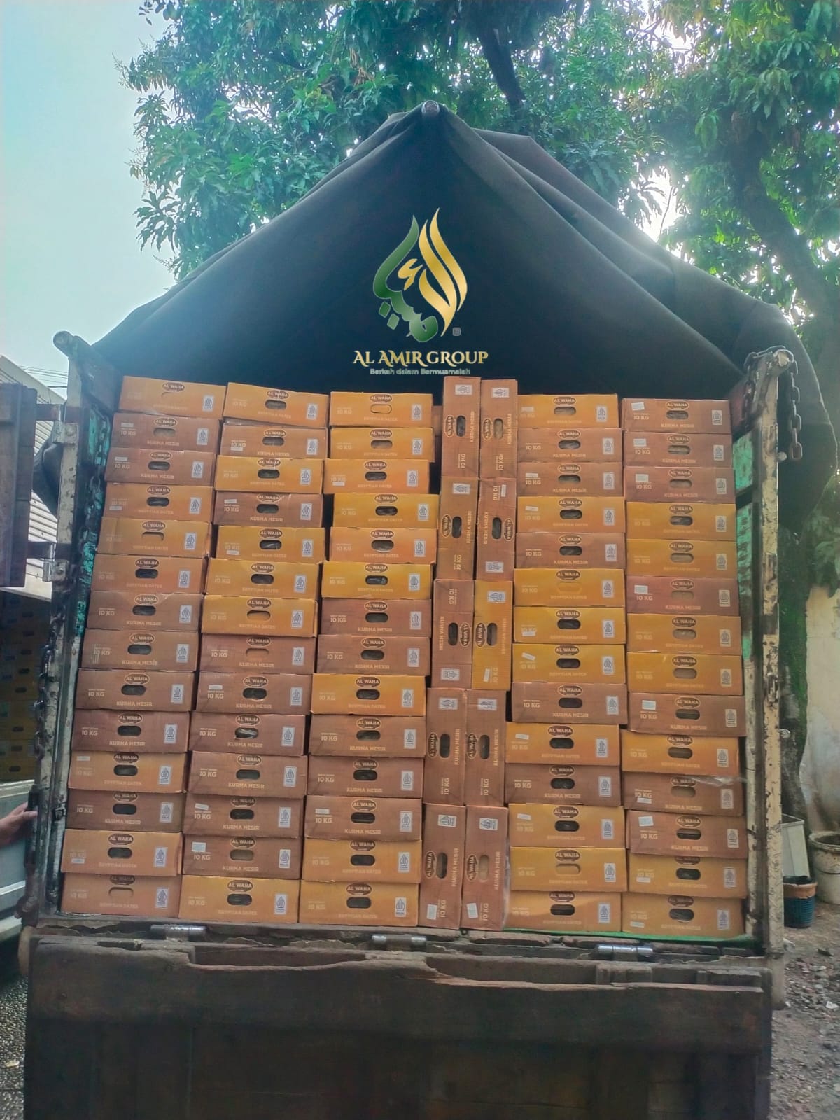 KURMA MESIR